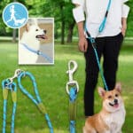 CROSSLEASH12548