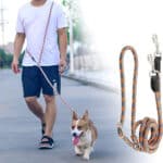 CROSSLEASH12548