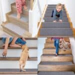 STEPRUG17098__d3fdc1c0